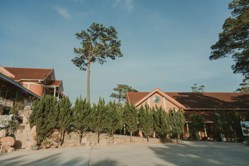 Hình ảnh tại Nguyễn Thị Phượng 5